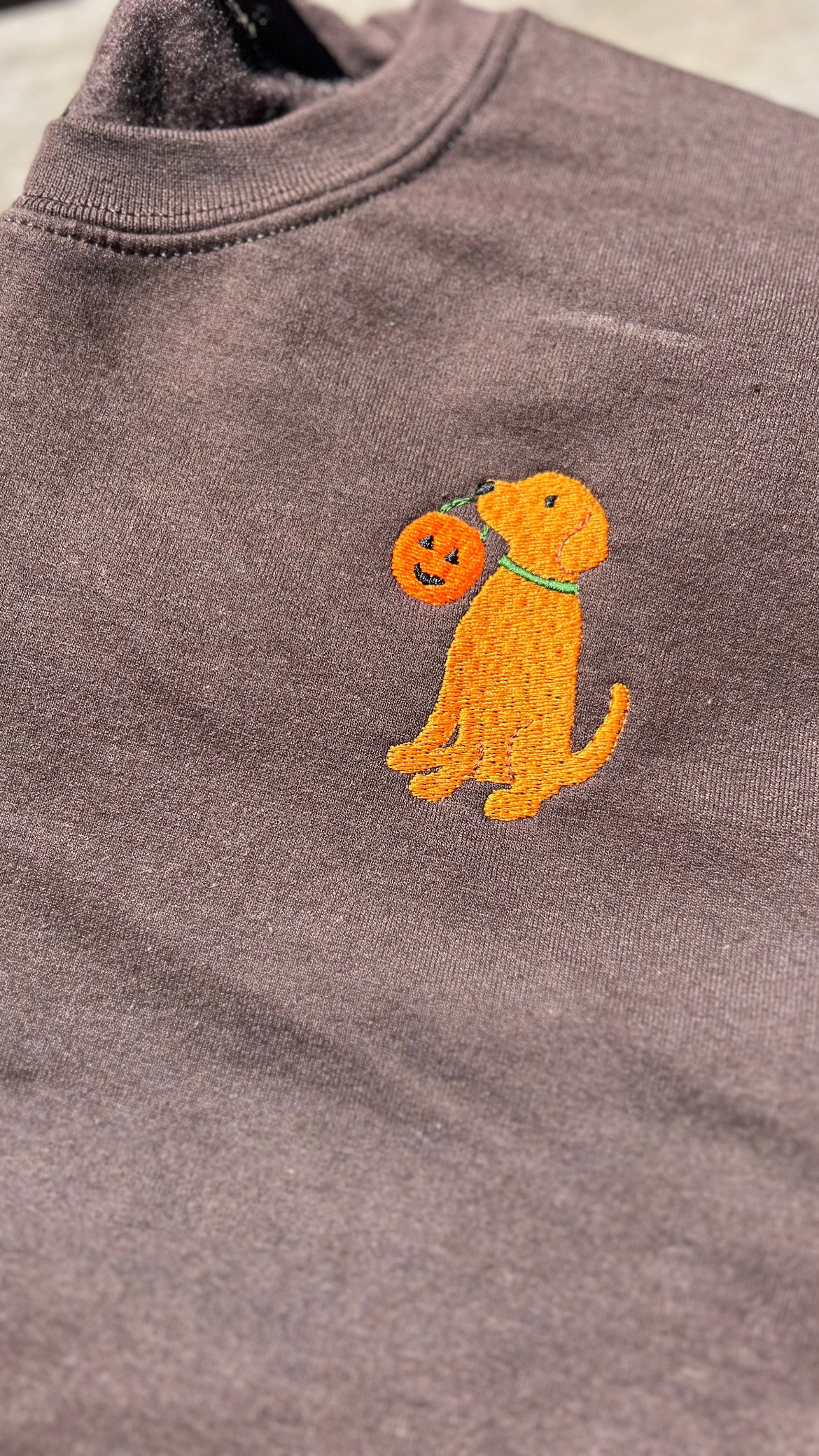 Brown sweatshirt with a embroidered dog holding a pumpkin patch design.